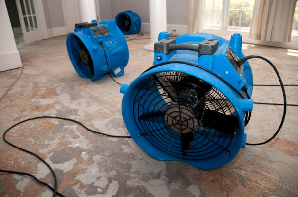  Eclectic, AL Water damage restoration Pros