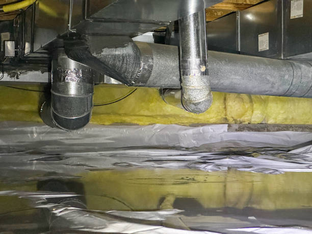 Best Fire Damage Restoration  in Eclectic, AL